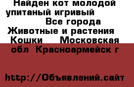 Найден кот,молодой упитаный игривый 12.03.2017 - Все города Животные и растения » Кошки   . Московская обл.,Красноармейск г.